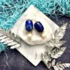 Nugget Lapis Lazuli Round Freshwater Pearls Drop Earrings