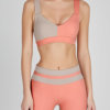 Elsa pink and taupe bra top