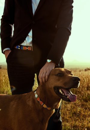 Jua Dog Collar Dog Collars Koy Clothing