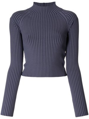 Dion Lee ribbed-knit backless top - Blue