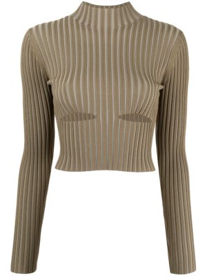 Dion Lee ribbed cut-out detail top - Brown