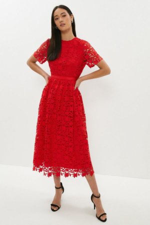 Coast Lace Fit And Flare Midi Dress -, Red