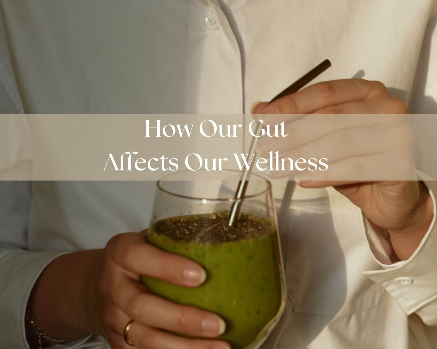 wellness and health, how our gut affects our wellness