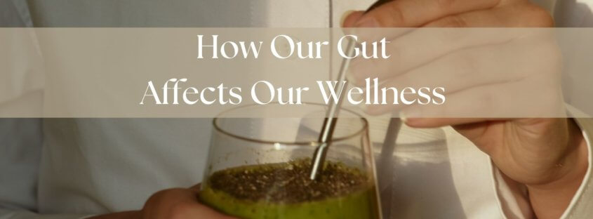 wellness how our gut affects our wellness