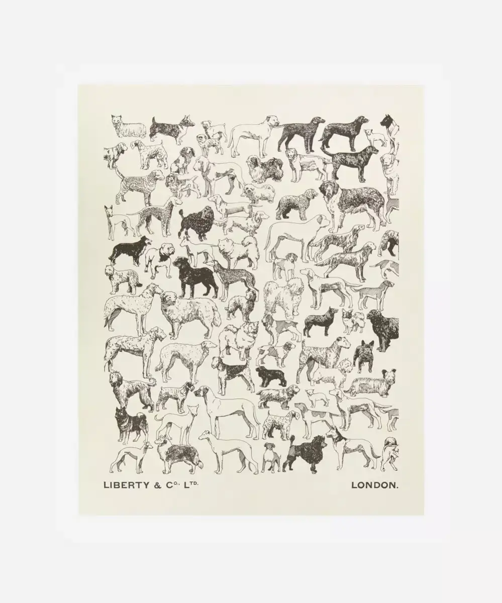 LIBERTY Unframed A Gathering of Dogs Archive Liberty Art Print £30.00