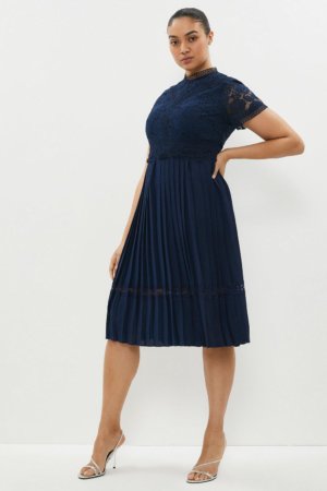Coast Plus Size Lace Bodice Pleat Skirt Midi Dress -, Navy
