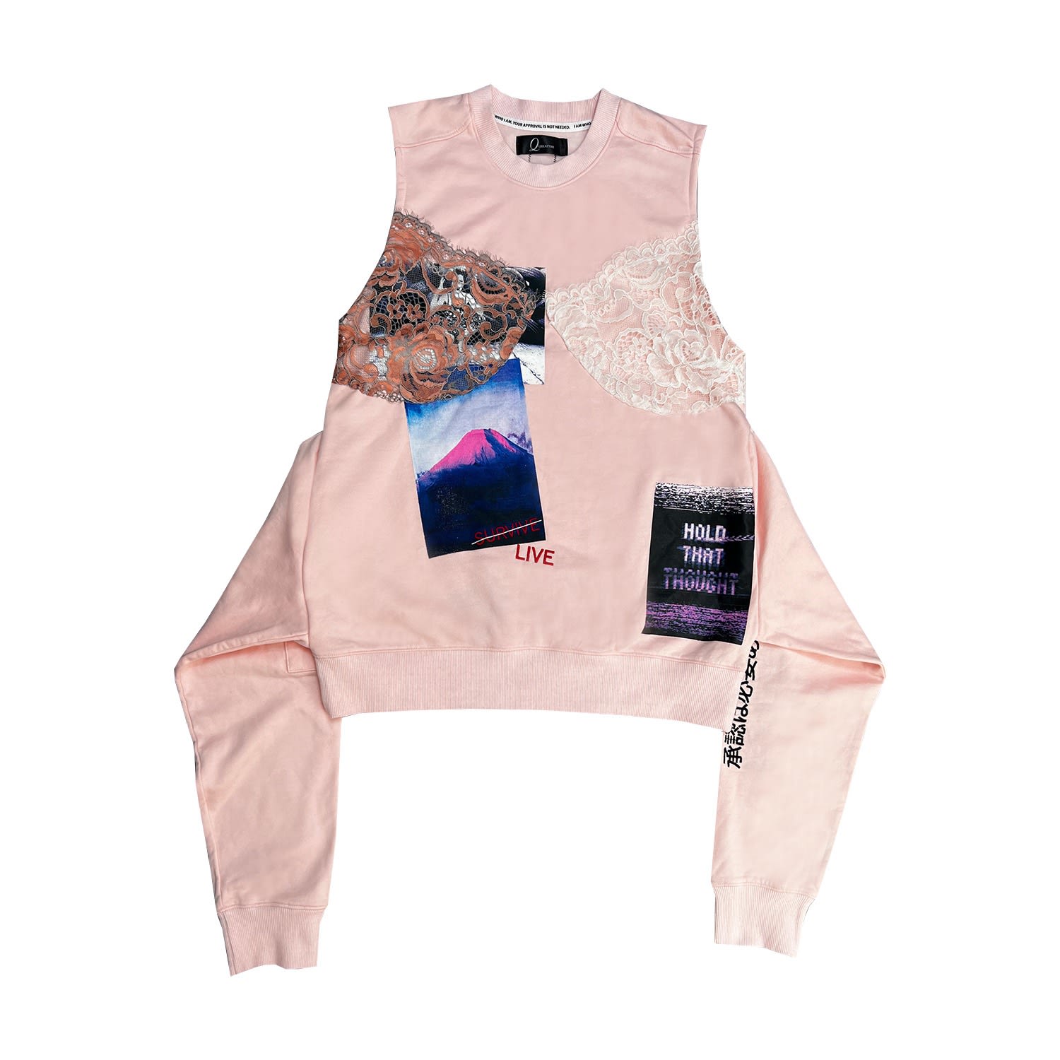 Quillattire - Pink Embroidered Sweatshirt With Lace Bra