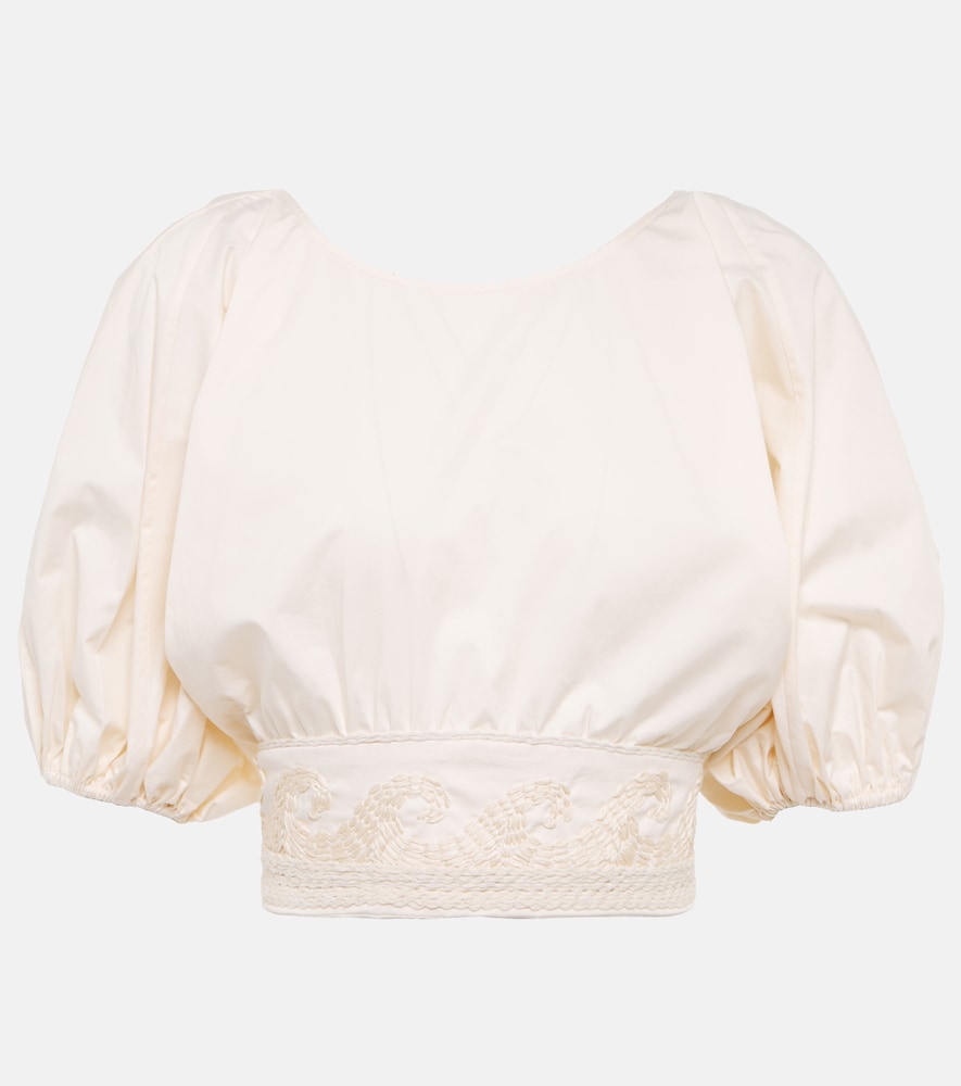 Embroidered puff sleeve top
