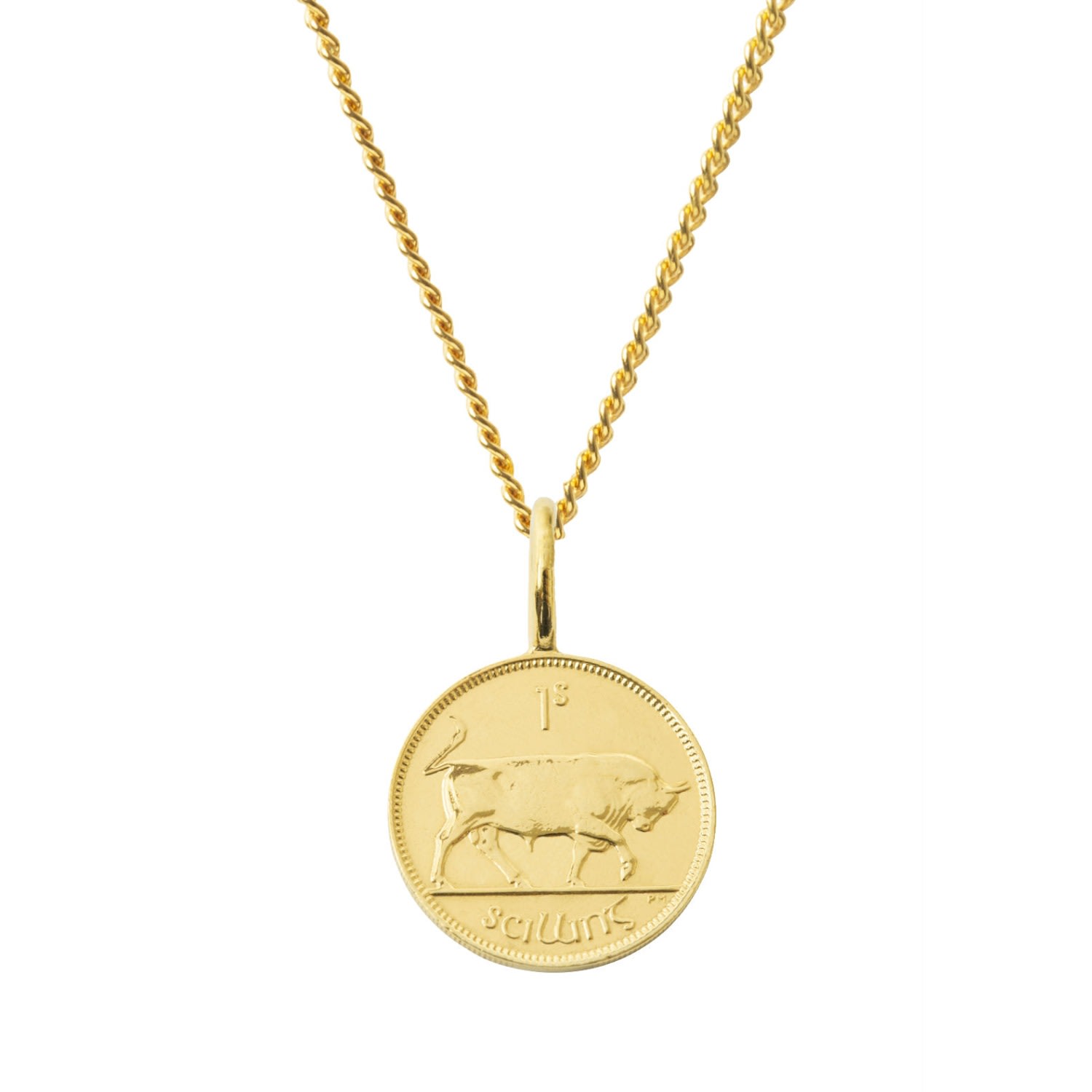 Men's Irish Shilling Coin & Chain In Yellow Gold Plate Katie Mullally