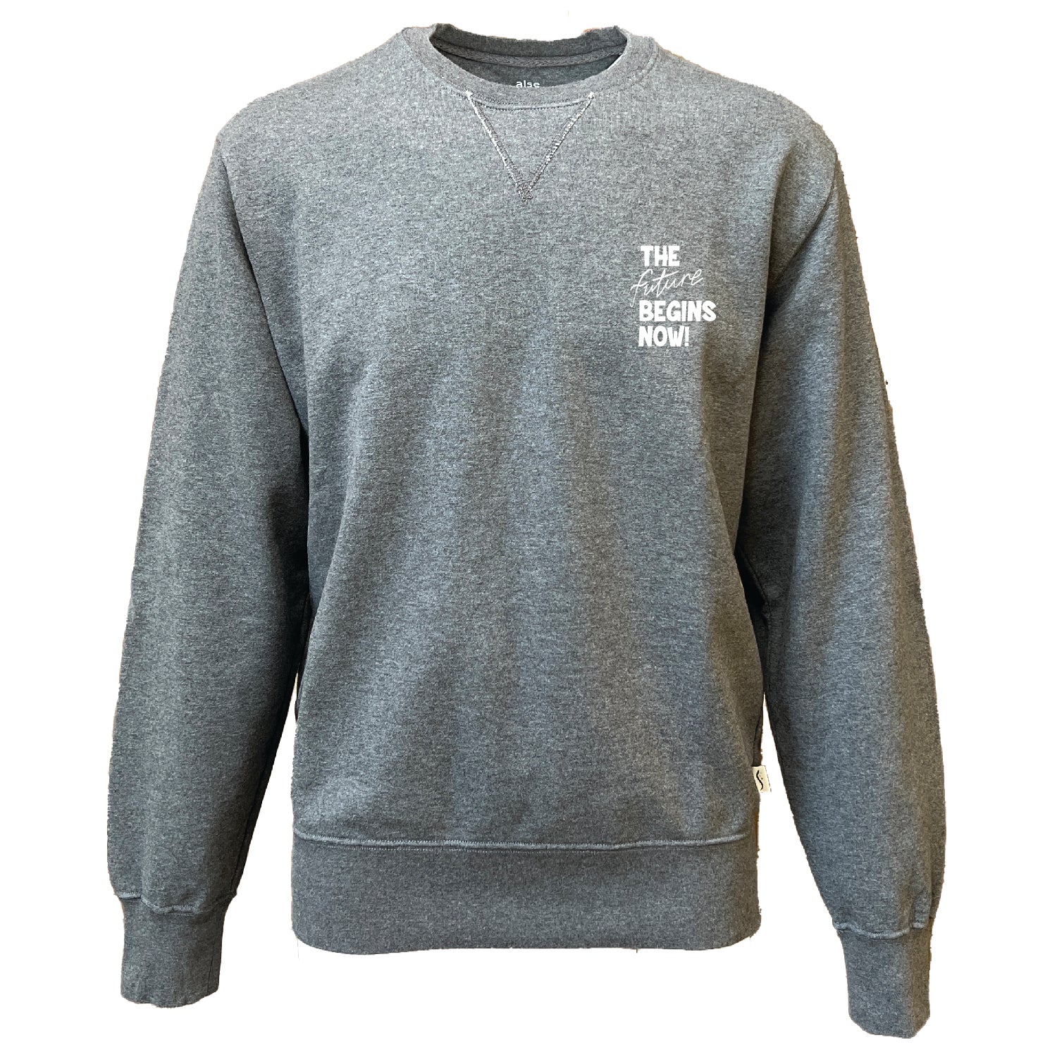 Men Future Printed Unisex Crew Neck Sweatshirt Grey Small Alse Studio