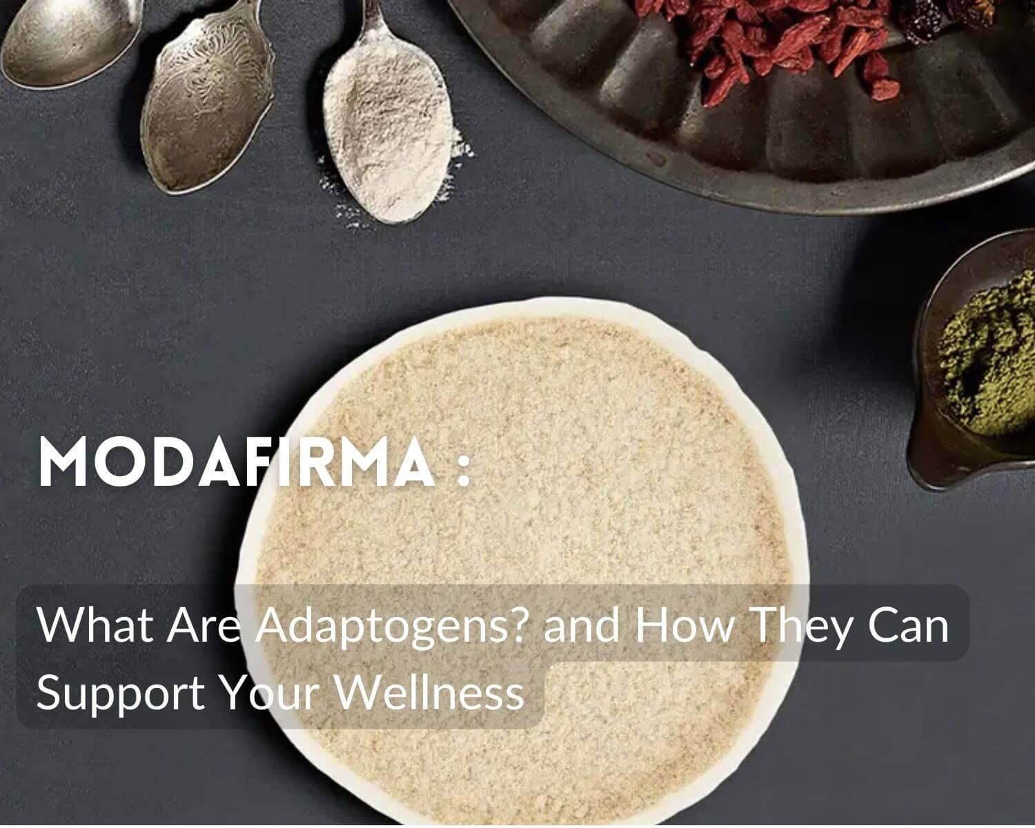 What Are Adaptogens? and How They Can Support Your Wellness