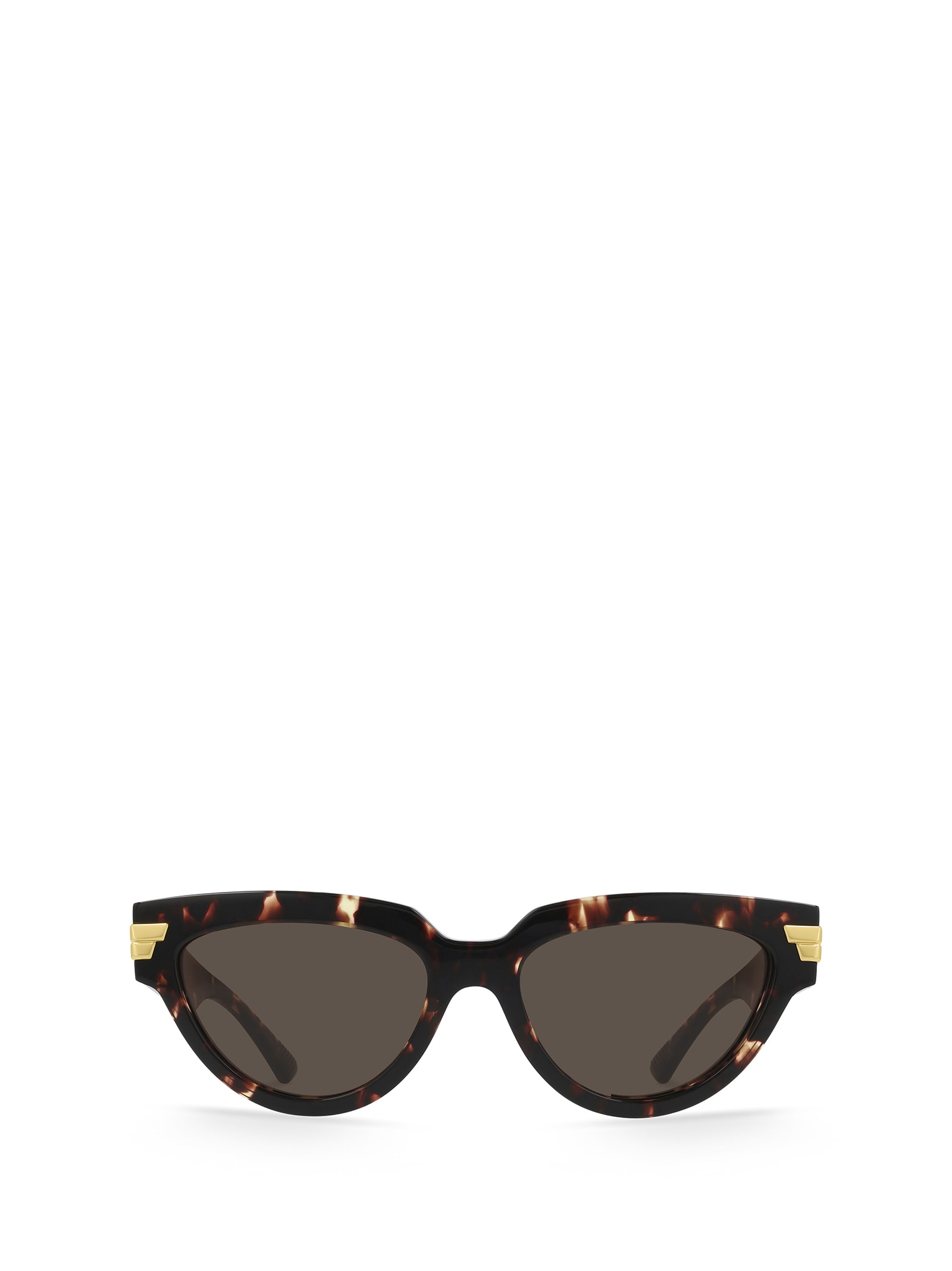 Bottega Veneta Eyewear Bv1035S Havana Sunglasses