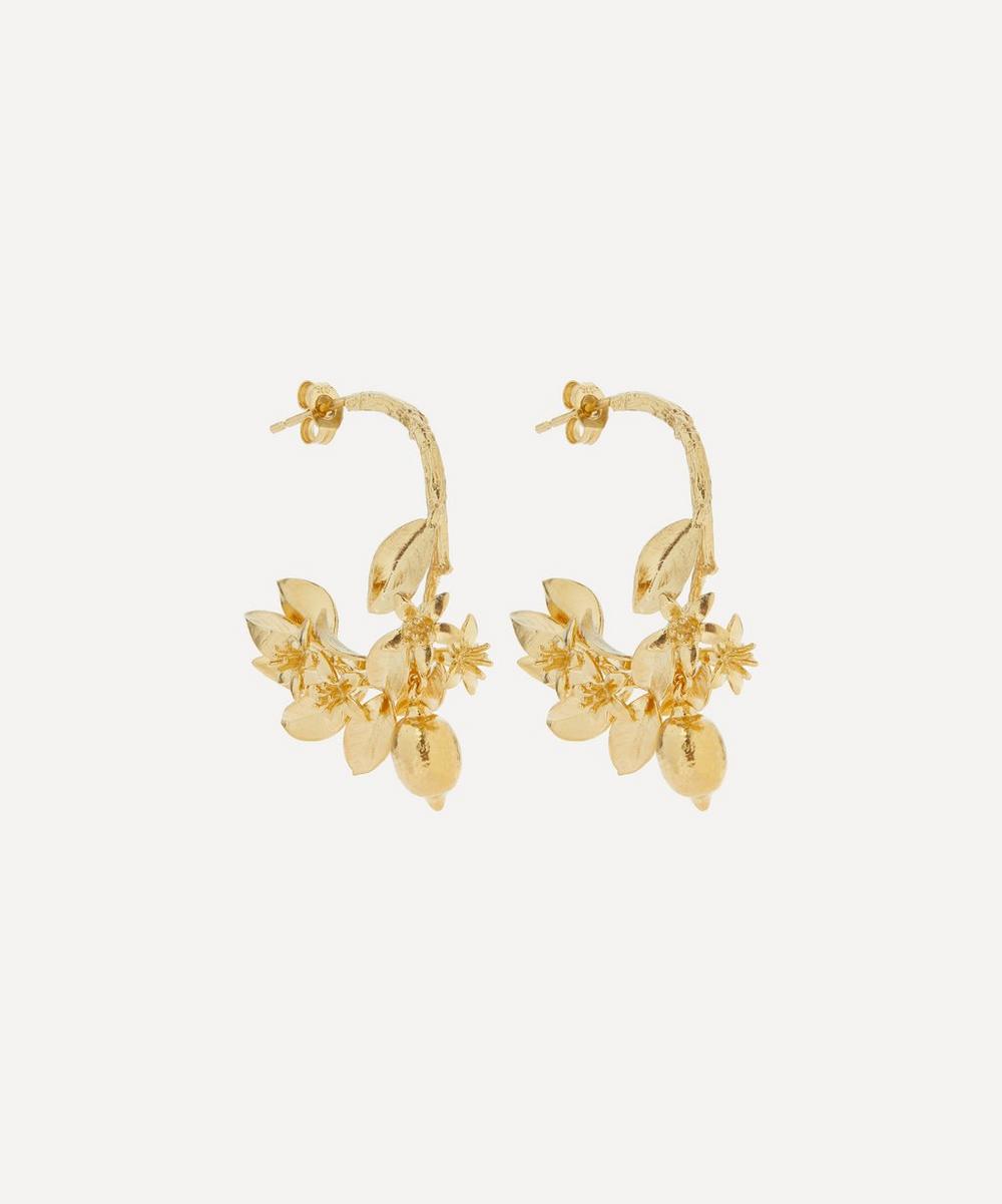 Alex Monroe 22ct Gold-plated Lemon Blossom Branch Hoop Earrings