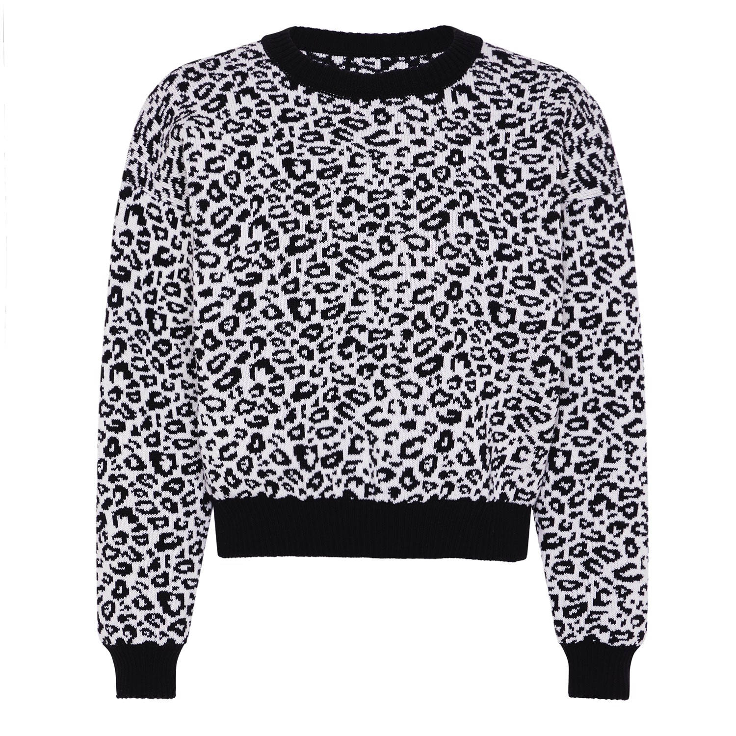 Women's Black / White Leopard Knitted Wool & Cashmere Jumper Black & White Small Ingmarson