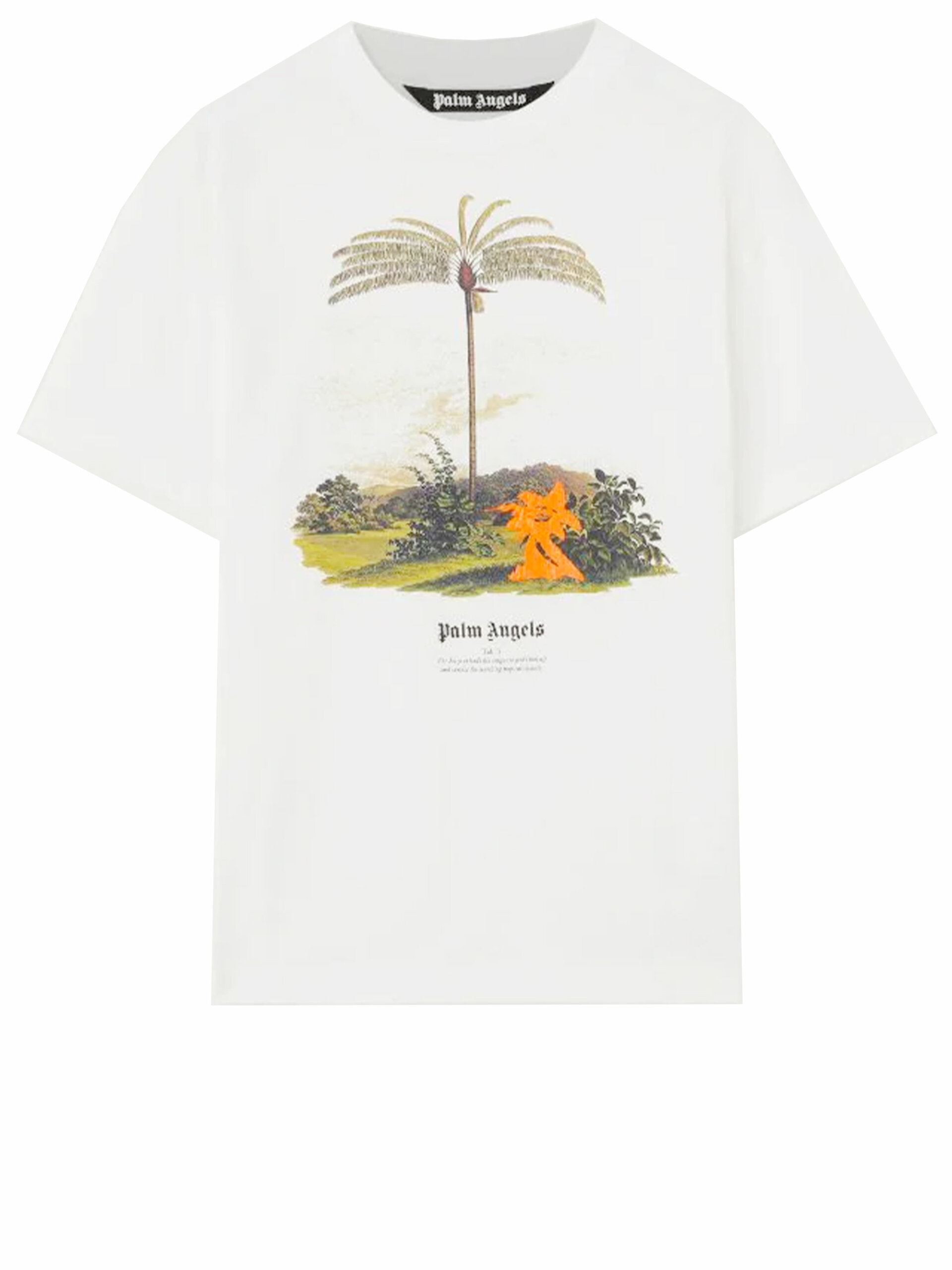 Enzo From The Tropics t-shirt