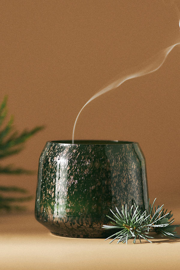 Kindred Fresh Balsam & Cedarwood Glass Candle