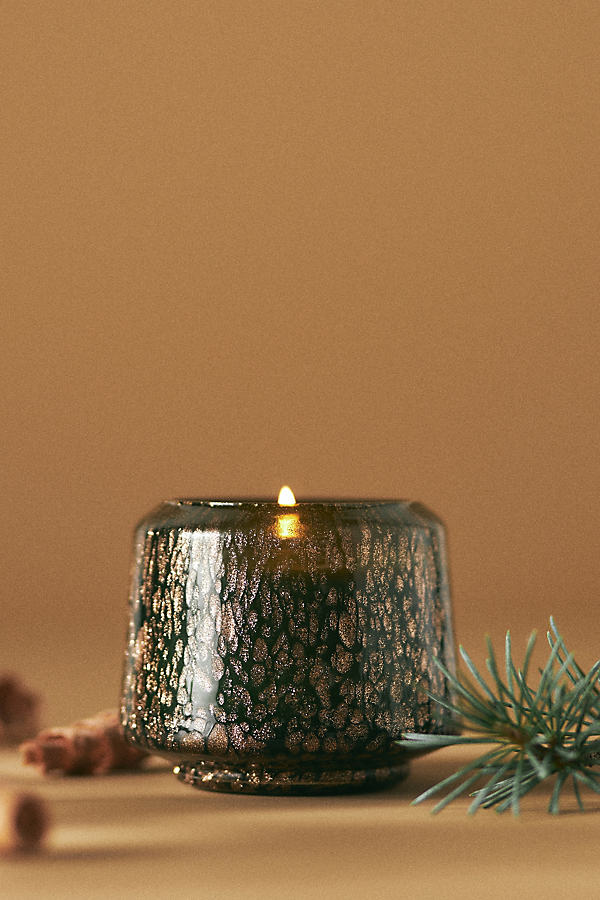 Kindred Fresh Balsam & Cedarwood Small Glass Candle