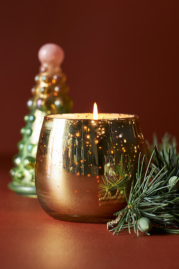 Lonni Treetop Fresh Balsam & Cedarwood Glass Candle