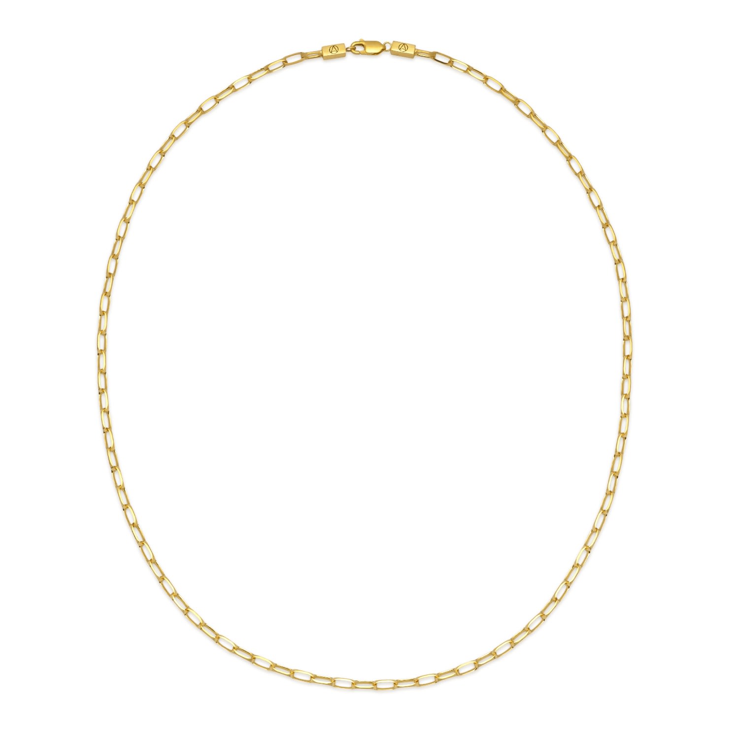 Men's Chain Link Necklace In Gold Northskull