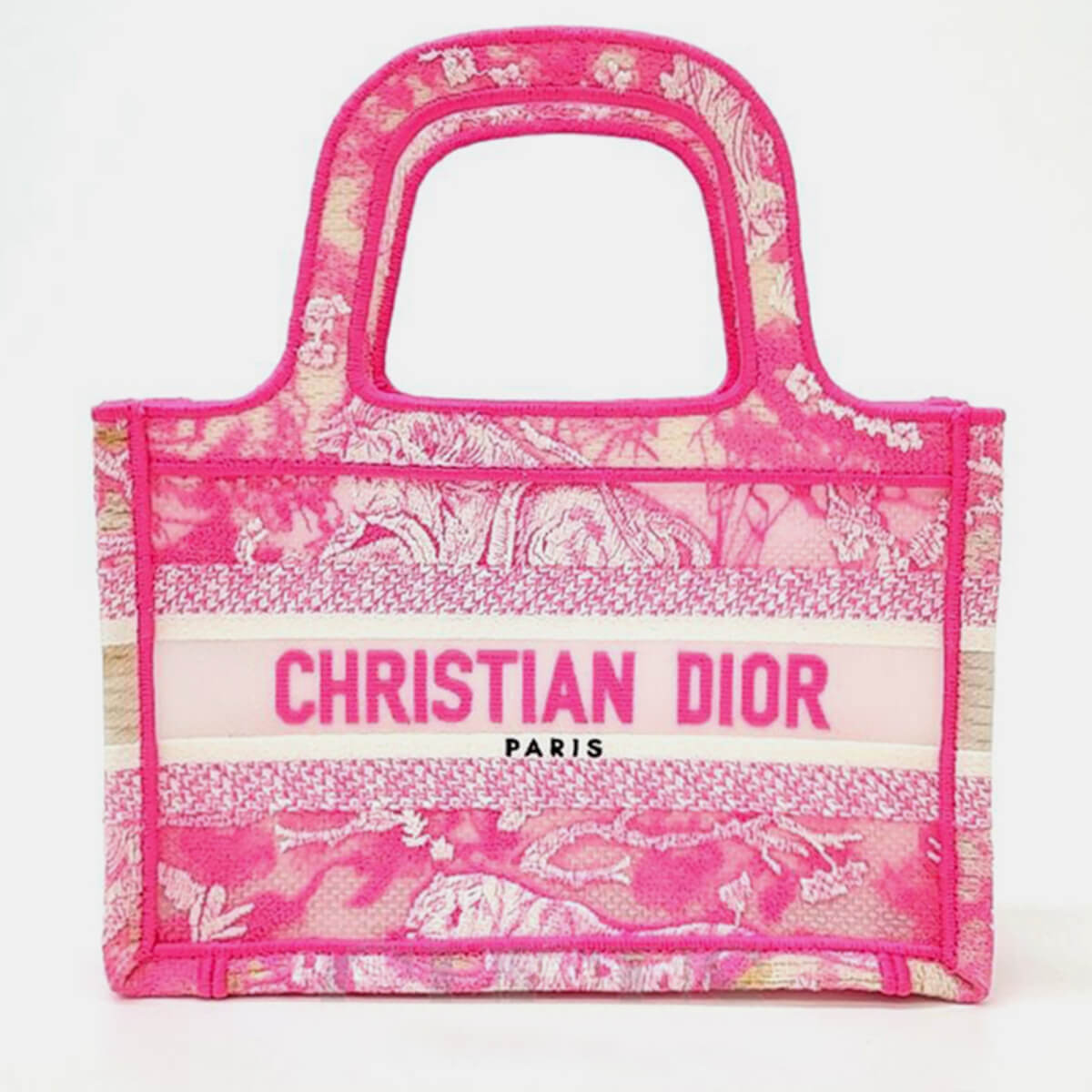 Christian Dior Book Tote Mini