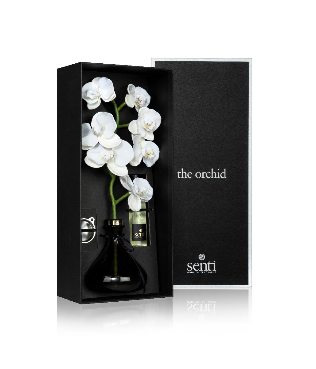 The Orchid Flowers Diffuser in White, 250ml, Senti