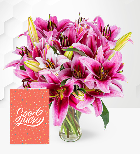 Stargazer Lilies with Good Luck Card